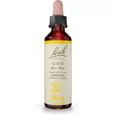 Bach Gorse - 20 Milliliters